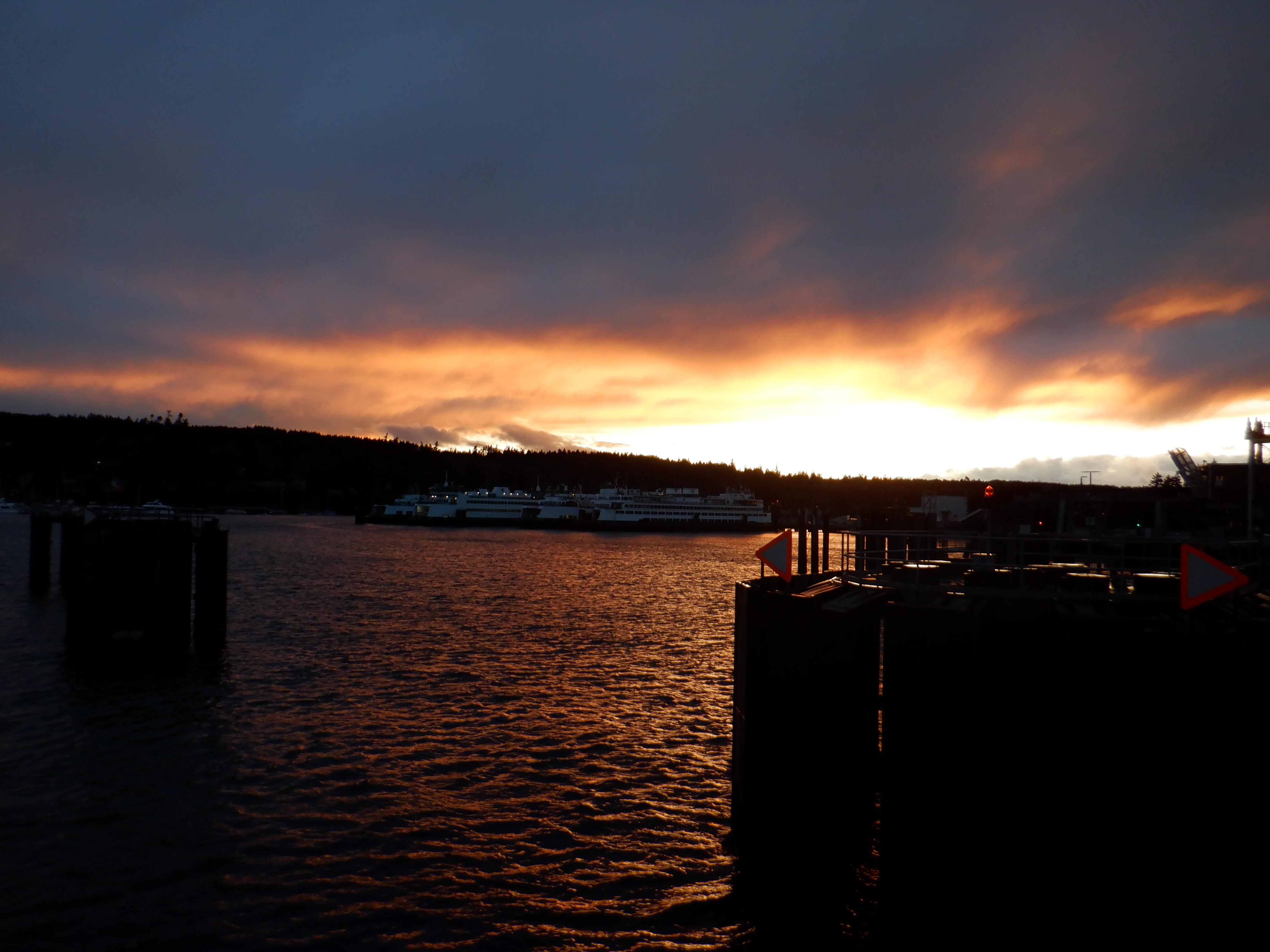 ./2020/03 - Seattle/AD_CF0980.JPG